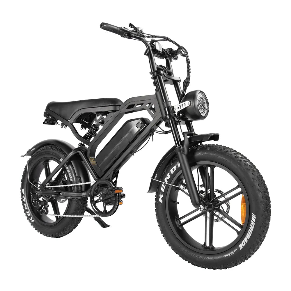 V20 Pro Fatbike zonder Bagagedrager (Zwart)