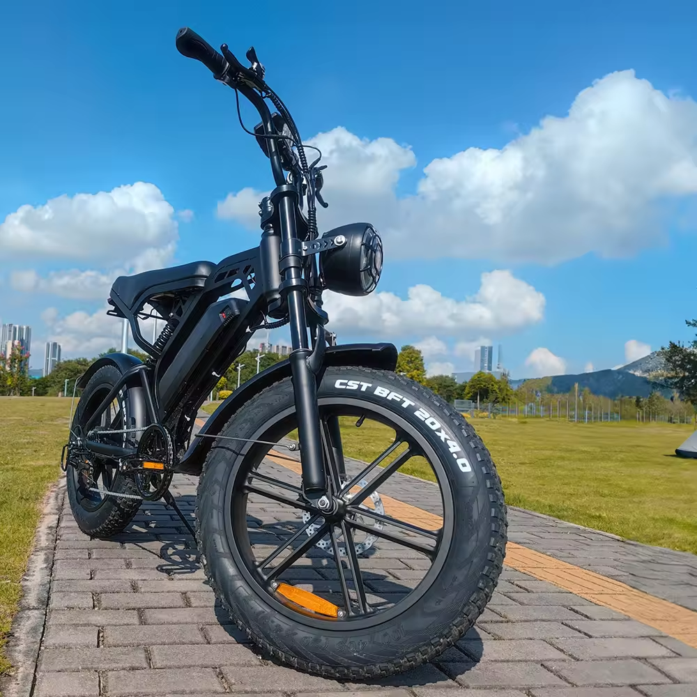 V20 Pro Fatbike zonder Bagagedrager (Zwart)