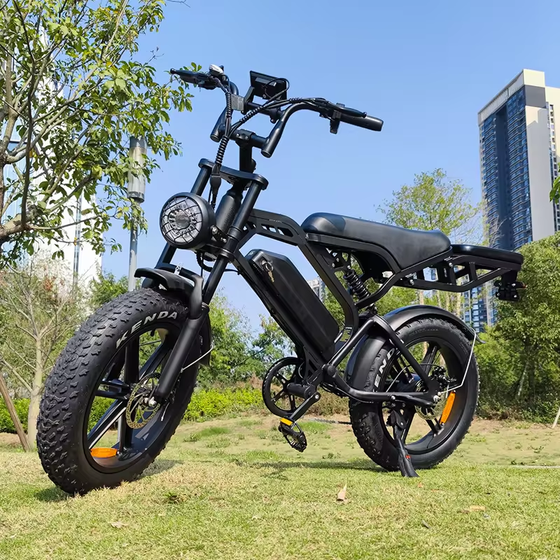 V20 Pro Fatbike met Bagagedrager (Zwart)