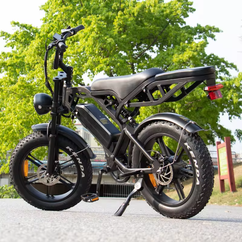 V20 Pro Fatbike met Bagagedrager (Zwart)
