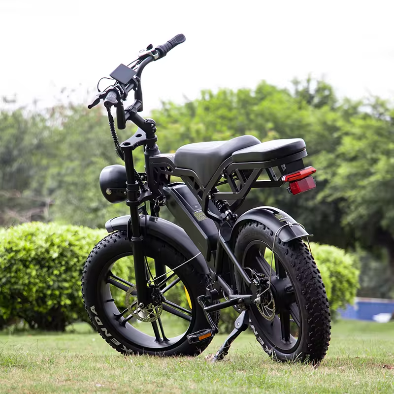 V20 Pro Fatbike met Bagagedrager (Zwart)